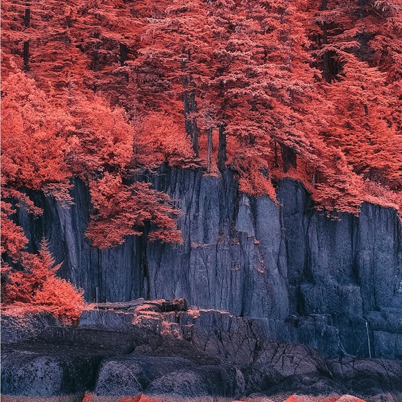 Cinderella Enamel Pin - Gus Gus | Disney - Picture 4 of 6